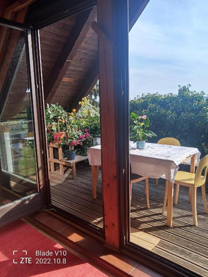 Ferienwohnung Zur Kirschblute Purbach am Neusiedlersee Exterior foto
