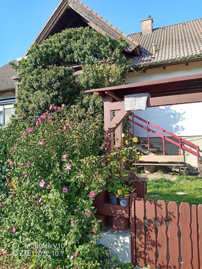 Ferienwohnung Zur Kirschblute Purbach am Neusiedlersee Exterior foto