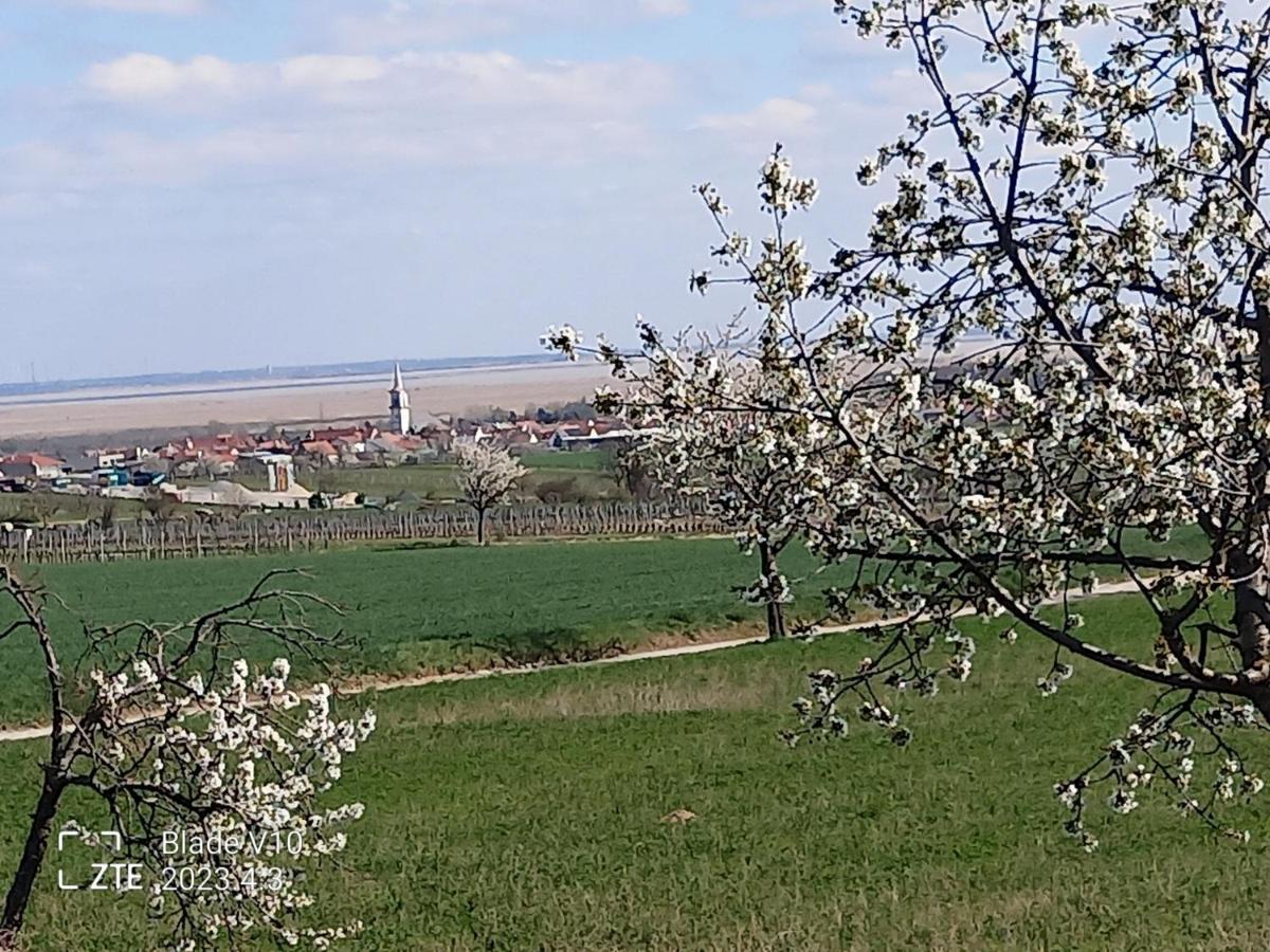 Ferienwohnung Zur Kirschblute Purbach am Neusiedlersee Exterior foto